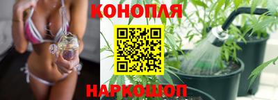 ПСИЛОЦИБИНОВЫЕ ГРИБЫ Камышлов