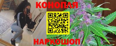ПСИЛОЦИБИНОВЫЕ ГРИБЫ Камышлов