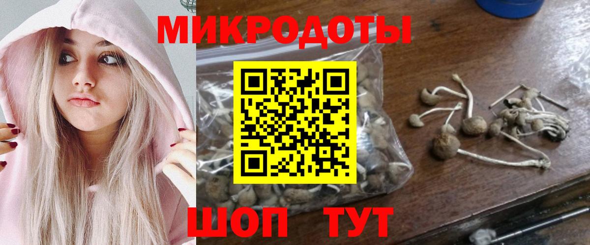 Галлюциногенные грибы Psilocybe  хочу   Заречный  Вход с VPN 